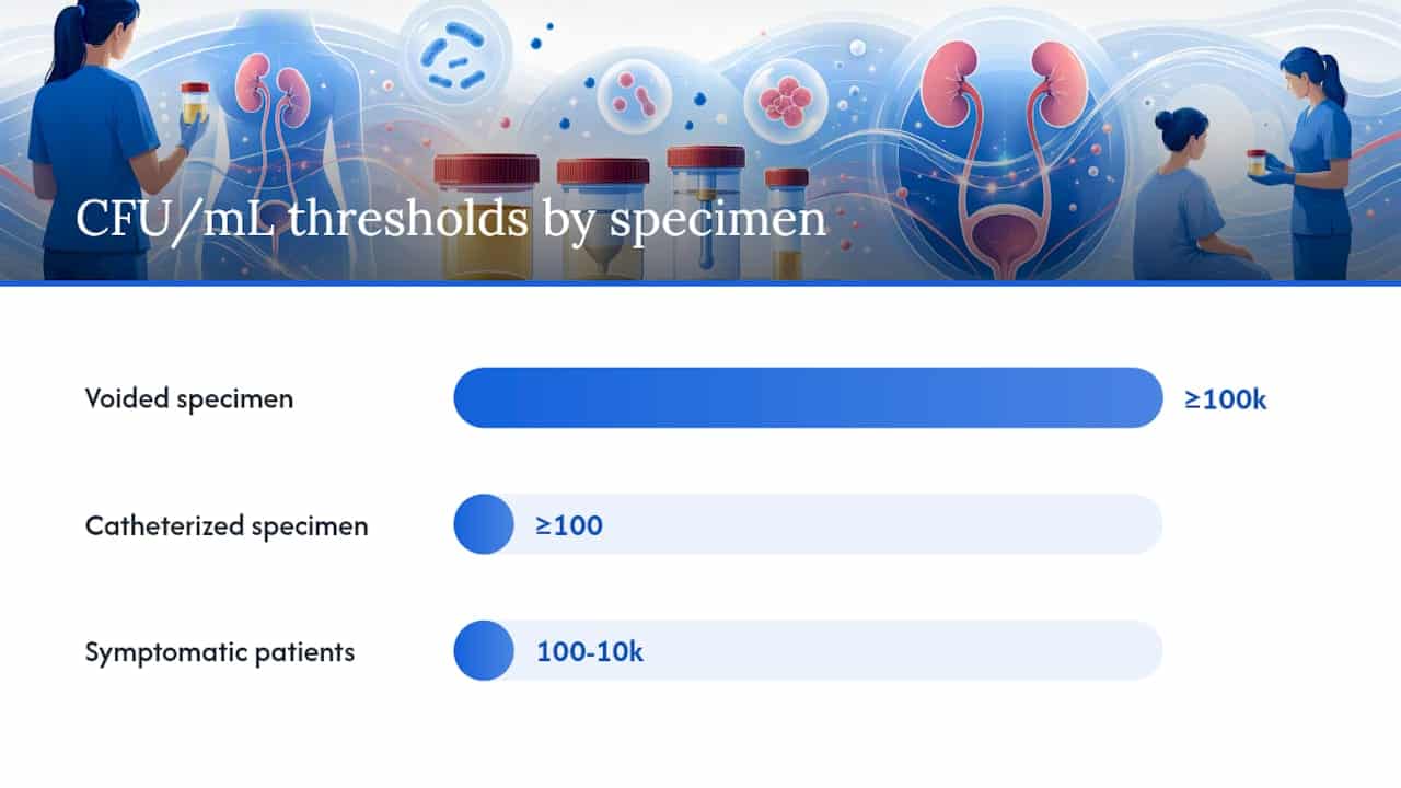 Urine culture colony count thresholds by specimen type