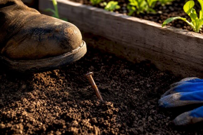 Rusty nail partly hidden in garden soil