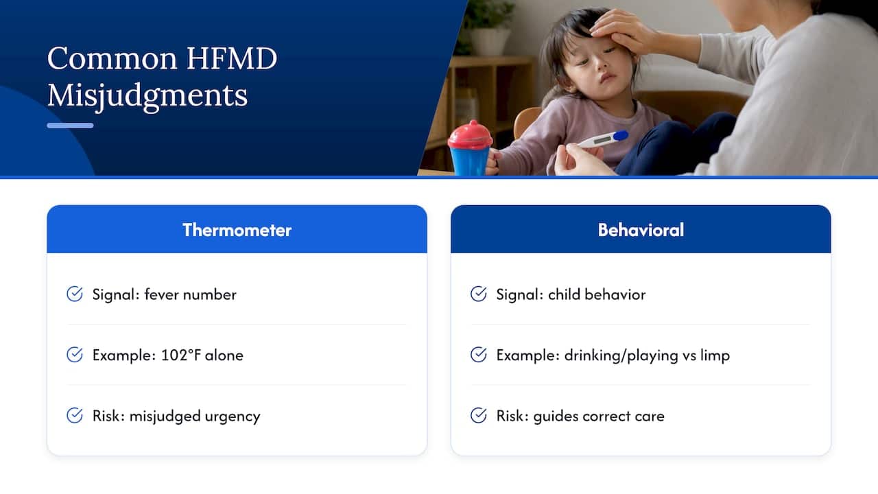 What Parents Often Get Wrong About HFMD — overview diagram